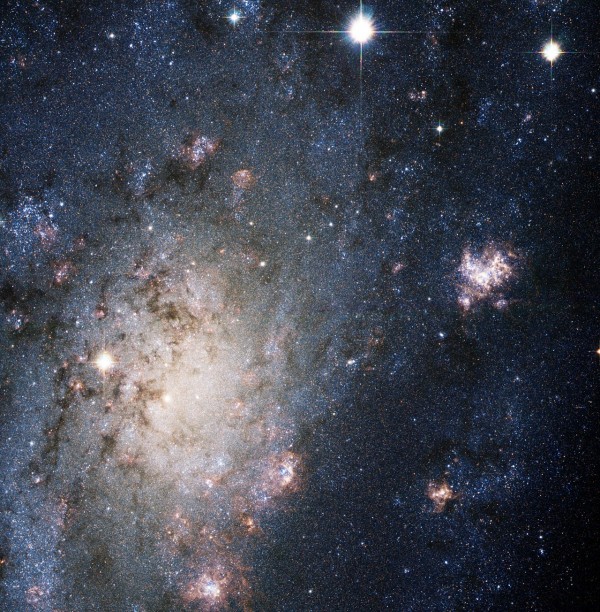 A Bright Supernova in the Nearby Galaxy NGC 2403