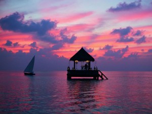 Voter pour Dans ce bungalow flottant aux Maldives