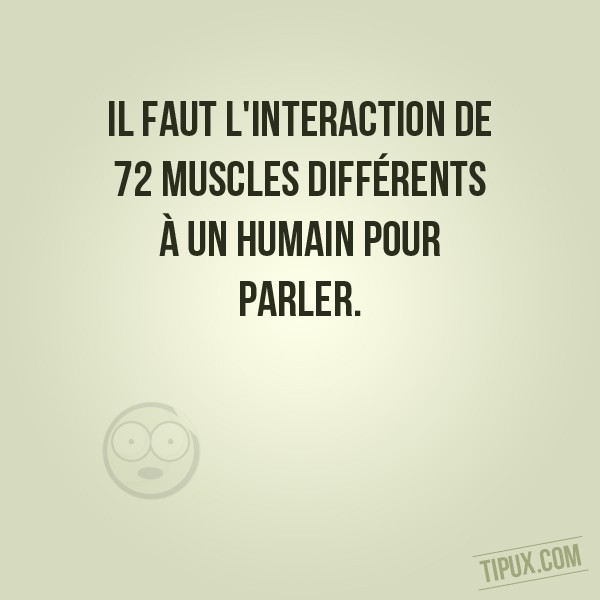 Il faut l'interaction de 72 muscles différents à un humain pour parler.
