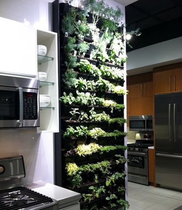 Le jardin vertical pour cuisine