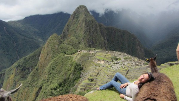 Contre un lama au-dessus du Machu Picchu