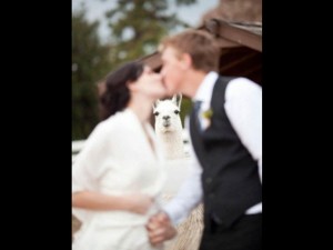 Voter pour Le meilleur photographe de mariage