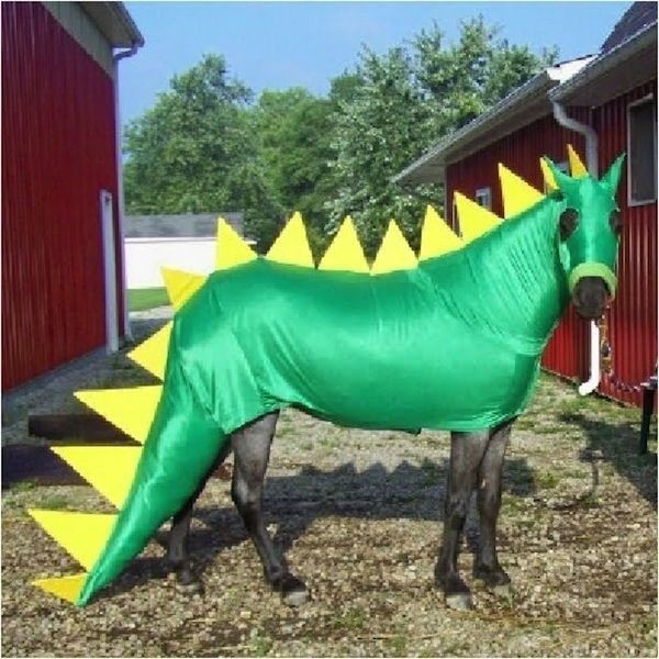 cheval dragon