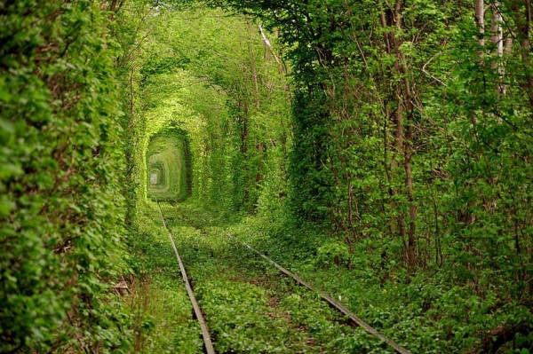 Ukraine - Tunnel de l'amour