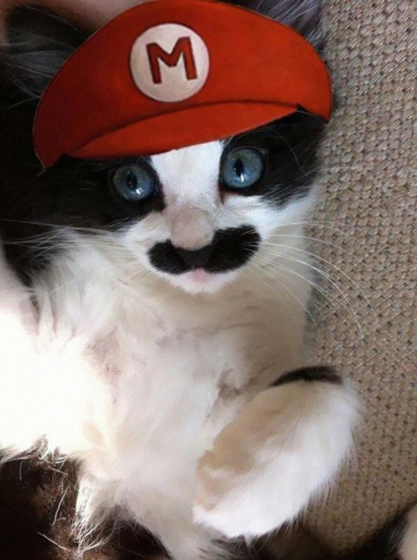 Mario Chat