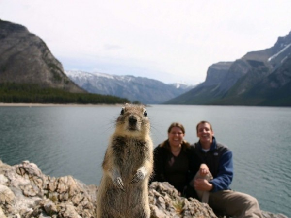 un écureuil qui s'est invité devant un couple d'Américains prenant la pose