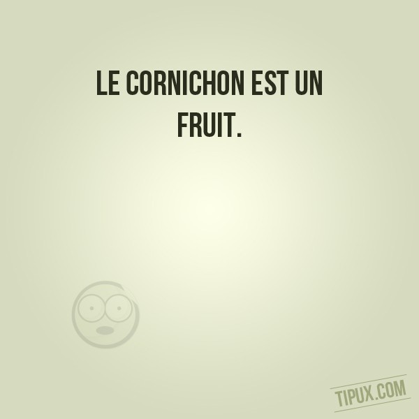 Le cornichon est un fruit.