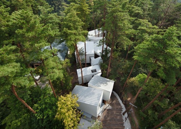 Une maison qui serpente au milieu des arbres au Japon
