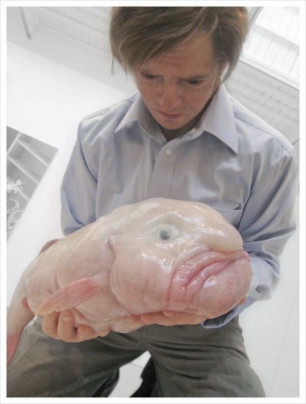 Blobfish, poisson le plus laid au monde