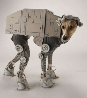 Voter pour chien robot