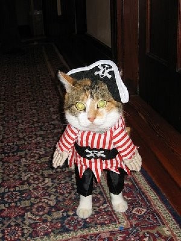 chat pirate