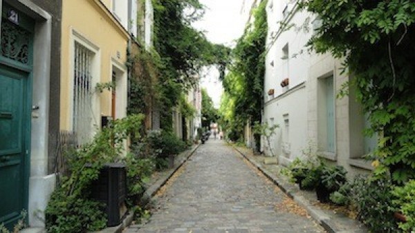 Jungle urbaine  rue des Thermopyles (14ème)