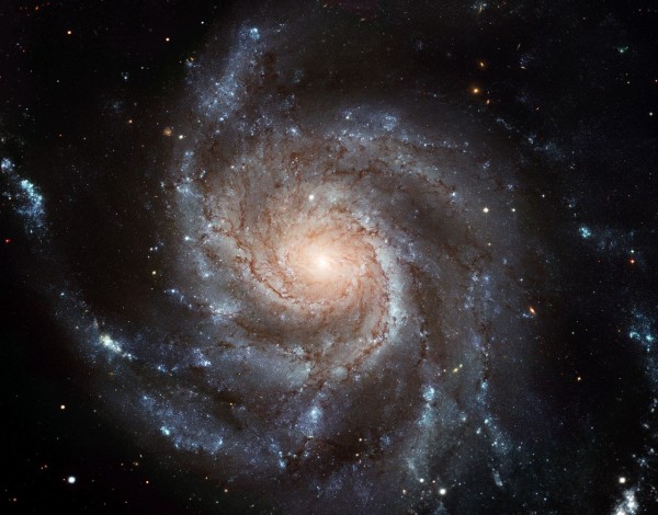 Largest ever galaxy portrait